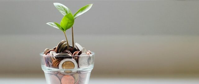 Une plante dans un pot rempli de monnaie